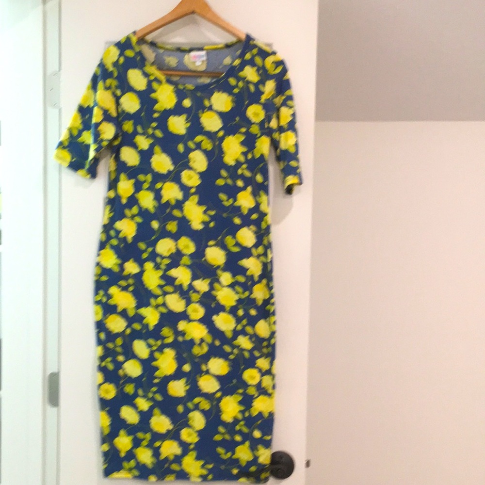 LuLaRoe Julia Dress M